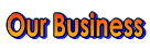 Our Business